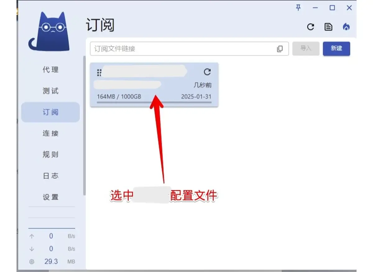 Clash Verge 订阅页的订阅卡片,显示 164MB / 1000GB 流量和 2025-01-31 到期